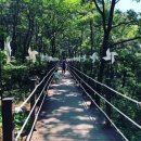 동강전망휴양림오토캠핑장 이미지