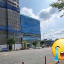 풀잎치과의원 이미지