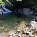 들물 관광농원 이미지