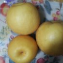 배들농장 이미지