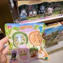 샬롬유치원 | 용산 아이파크몰 실바니안 패밀리 두더지 가족, 과일 블라인드백 구매 후기