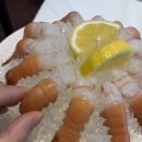 댕댕이포차