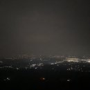 대파니 힐링팜 이미지