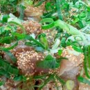 원종해장국 이미지