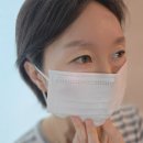 디자인 펌킨