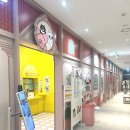 고양이카페 | [홍대 고양이카페 루프캣미] 홍대입구역 고양이카페, 방문후기