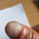 2023-주198 이미지