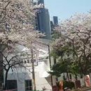 권샘탁구클럽 네이버블로그