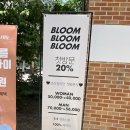 블룸왁싱