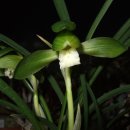 이기정농장 이미지