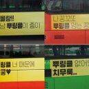 페리카나강화 이미지