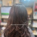 밀가헤어 이미지