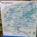 6/3(수)선거일/물위에 떠 있는 부소담악,이국적인탑 상소동산림욕장,힐링숲 화인산림욕장여행 이미지