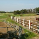 궁평목장 이미지