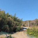 정상농원