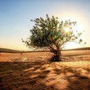 우리중부기업노동조합 이미지