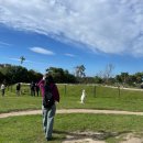 청바지투어 | [25MEL-2] 멜버른 퍼핑빌리, 필립아일랜드 (+땡스투어 후기)