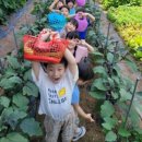 성지어린이집 이미지