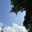 무주구천동캠핑장 이미지