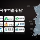 청정한방약초 이미지