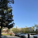 미니오락실 | 경주 켄싱턴리조트 디럭스플러스룸, 키즈카페, 오락실, 놀이터, 미니동물원 후기