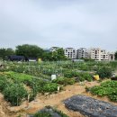 의왕농장 이미지