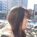 로이드밤(고촌점)