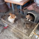 화순이서우체국 이미지