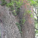 용하농장 이미지