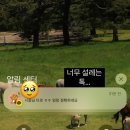 행쇼 | 김시종타로🔮 속마음&amp;행동흐름 적중후기! 🩵내담자님 행쇼🩵