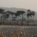 호진상회 이미지