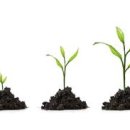 온맘정신건강의학과의원 이미지