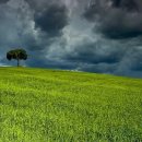 11월 14일 금요일(음9/25) 출석부: 들국화 - 행진 이미지