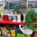 서울타이어 이미지