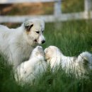 이수농장 이미지