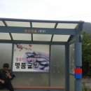 상오축사 Daum카페