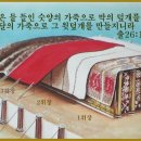 청색자색 이미지