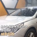 유림워시존 이미지