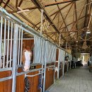 프리미어아레나승마클럽 이미지