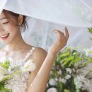 뉴스튜디오 이미지
