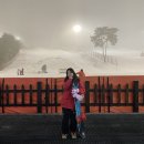 경주 고우려 | 2020년