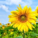 건강관리센터 이미지