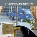 일타 태권도장 이미지