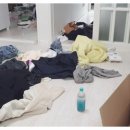 결벽우렁각시 이미지