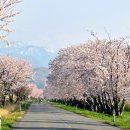 〈【이시카와(石川)·도야마(富山)】 고난과 싸우는 여러분에게 ‘희망의 광원 - 어서(御書)’〉 2024.01.19 세이쿄 이미지