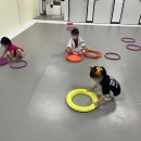 자이태권도 이미지