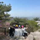 북악산으로의 봄 나들이~