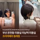 프리마베라 | 부산 온천동 미용실 미남역 머리 잘하는 프리마베라 동래점 염색 후기