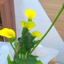 용현서울치과의원 이미지