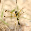 운정초등학교 이미지